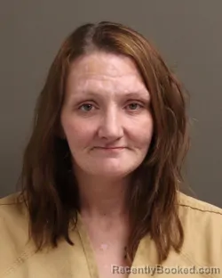 Mugshot of JAMIE LEE VANOVER booked in Franklin County, Ohio on April 5, 2026