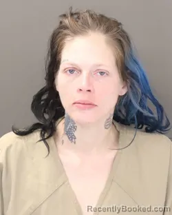 Booking photo from Franklin County, Ohio