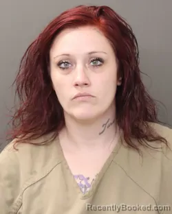 Mugshot of ERIKA NEEDHAM