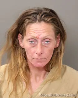 Mugshot of LINDSEY ANN CURRAN booked in Franklin County, Ohio on May 19, 2026