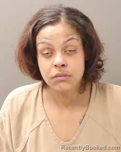 Mugshot of MARIAH M PALMER booked in Franklin County, Ohio on March 20, 2026