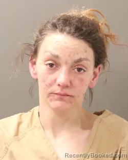 Mugshot of PATRICIA HOLBROOK booked in Franklin County, Ohio on March 15, 2026