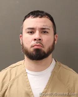 Mugshot of FERNANDO VILLEY MORENO BUENROSTRO