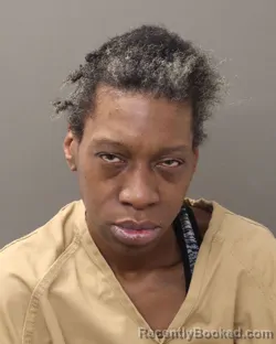 Mugshot of JEANETTA MARAY LEE booked in Franklin County, Ohio on March 14, 2026