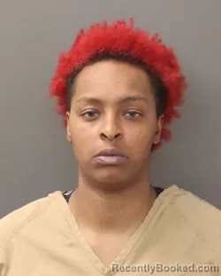 Mugshot of BRITTANY T.L. REEDER booked in Franklin County, Ohio on March 19, 2026