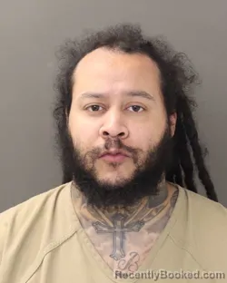 Mugshot of TIMOTHY D DRISCOLL