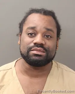 Mugshot of RONALD LEE NOWLIN