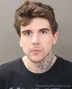 Mugshot of BO ALLEN PAYNTER