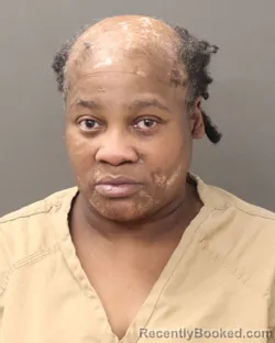 Mugshot of BRITTINIE L TERRY