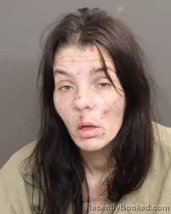 Mugshot of CRYSTAL DEE LAYTON booked in Franklin County, Ohio on March 25, 2026