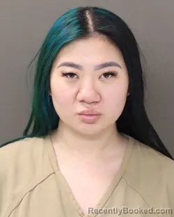 Mugshot of BIN L DANG