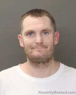 Mugshot of MICHAEL EDWARD LOWER