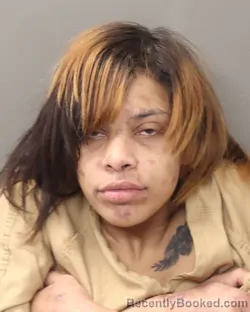 Mugshot of ANDREA TANYHILL