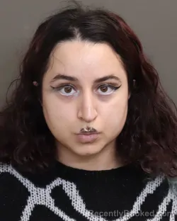Mugshot of ALLISON YASAMAN HAGHIGHI