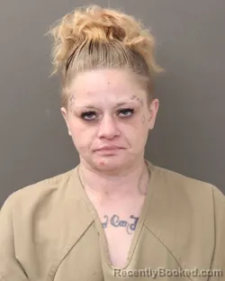 Mugshot of DANIELLE LOREN JINKS