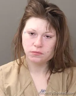 Mugshot of CYNTHIA E LOOKER booked in Franklin County, Ohio on March 18, 2026