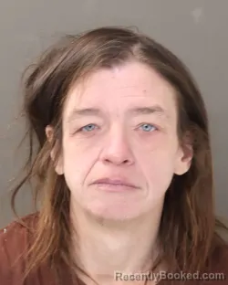 Mugshot of ELIZABETH ANN CURTIS