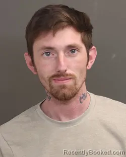 Mugshot of DAVID LEE LEWIS