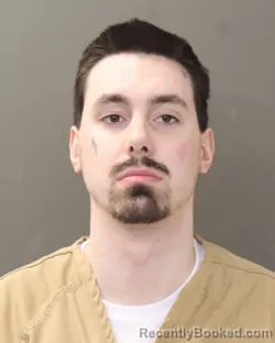 Mugshot of DYLAN GROSS