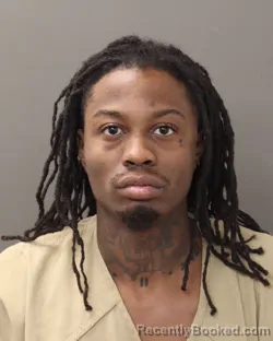 Mugshot of RAYVONITAE MARKESSE WILKINS booked in Franklin County, Ohio on March 23, 2026