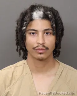 Mugshot of ZION TIMBERLAND LEWIS-RANSOM booked in Franklin County, Ohio on June 20, 2026