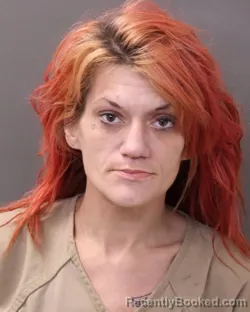 Mugshot of Suzanna Brehanna Hinton booked in Franklin County, Ohio on August 28, 2026