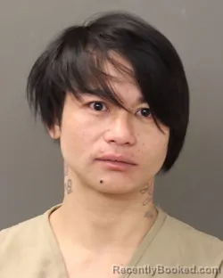 Booking photo from Franklin County, Ohio