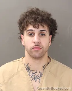 Mugshot of JEFFREY TREY JOHNSON