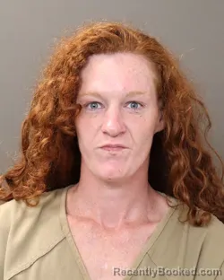 Mugshot of MEGAN RENEE HOWARD booked in Franklin County, Ohio on April 28, 2026