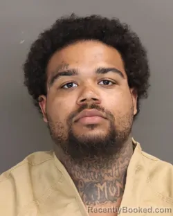 Mugshot of TRESHAWN D REESE booked in Franklin County, Ohio on April 2, 2026