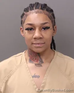 Mugshot of DIANASHA N CULPEPPER-TANYHILL booked in Franklin County, Ohio on March 19, 2026