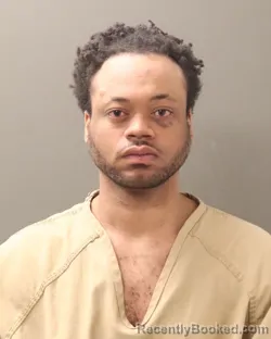 Mugshot of SHANDALE ROBERT BROWN booked in Franklin County, Ohio on March 23, 2026