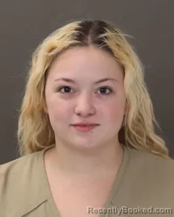 Mugshot of ASHLYNN VICTORIA AUBLE booked in Franklin County, Ohio on March 17, 2026