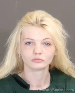 Mugshot of KRISTIN LEE NOVAK booked in Franklin County, Ohio on March 29, 2026