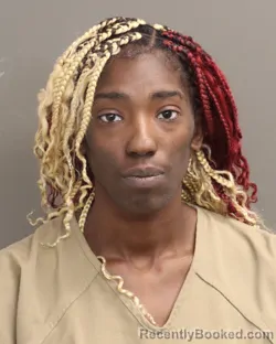 Mugshot of BRIANA L CAMPBELL booked in Franklin County, Ohio on March 26, 2026