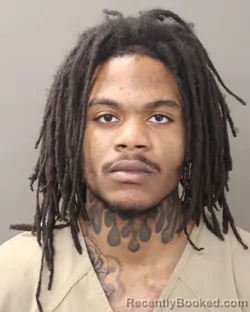 Booking photo from Franklin County, Ohio