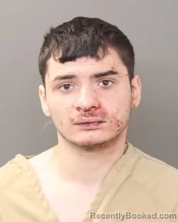 Mugshot of TYLER ELYJA BRANDON booked in Franklin County, Ohio on March 15, 2026