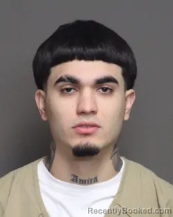 Booking photo from Franklin County, Ohio