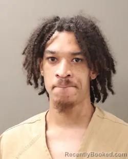 Mugshot of CHRISTIAN MICHAEL TOLES