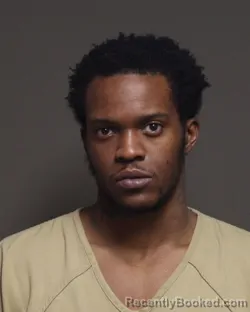 Mugshot of DAMONTAE LATELLE ROBINSON