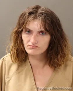 Mugshot of KRISTEN MAXINE ROGERS booked in Franklin County, Ohio on June 21, 2026