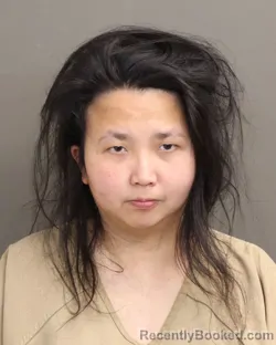 Mugshot of CELINE DIANNE LAHMANN booked in Franklin County, Ohio on March 31, 2026