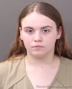 Mugshot of JAMMIE L RICHESSON booked in Franklin County, Ohio on March 4, 2026