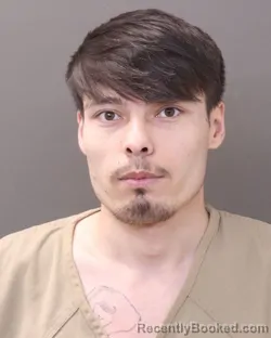 Mugshot of ALI RIZA ANSARI booked in Franklin County, Ohio on March 27, 2026