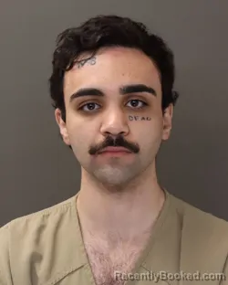 Booking photo from Franklin County, Ohio