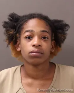 Mugshot of Destiny Monique Menzie booked in Franklin County, Ohio on September 9, 2026