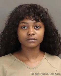 Mugshot of MARYANA NOOR MOHAMED booked in Franklin County, Ohio on April 1, 2026