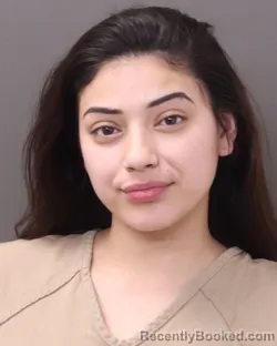 Mugshot of DESIREE MARIE SANCHEZ booked in Franklin County, Ohio on March 5, 2026