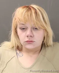 Mugshot of SIERRAH BORROR