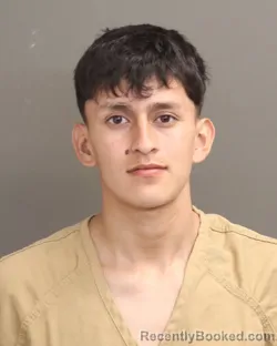 Mugshot of RONEY PEREZ booked in Franklin County, Ohio on March 31, 2026